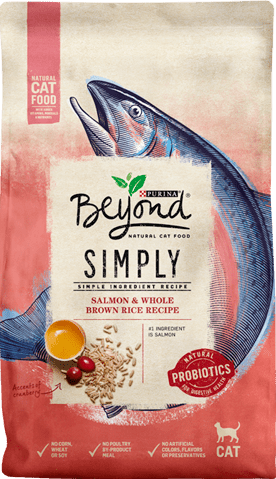 Purina Beyond Simply Salmon Whole Brown Rice Recipe Cat Food Review